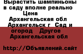 Вырастить шампиньоны в саду вполне реально! › Цена ­ 1 400 - Архангельская обл., Архангельск г. Сад и огород » Другое   . Архангельская обл.